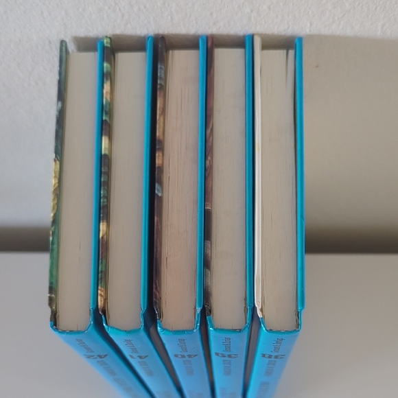 Hardy Boys Mystery Book Set - Blue Covers - Picture 5 of 6